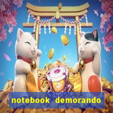 notebook demorando para ligar tela preta